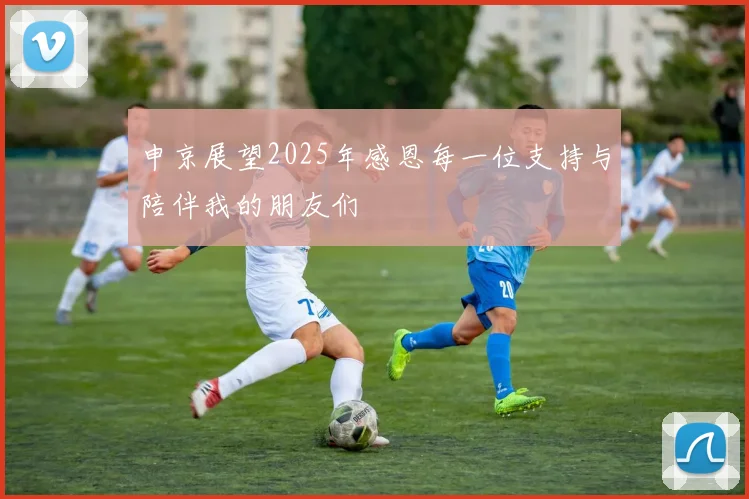申京展望2025年感恩每一位支持与陪伴我的朋友们