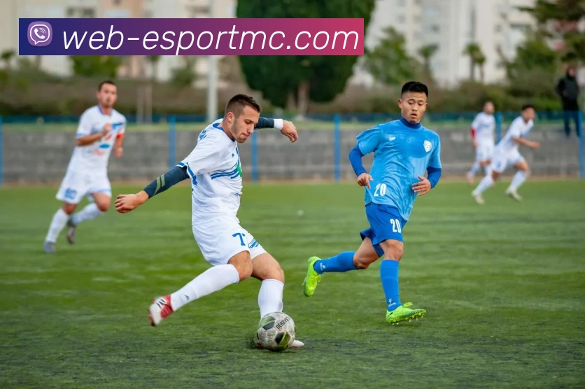 多媒体互动体验